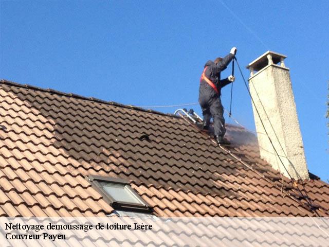 Nettoyage demoussage de toiture 38 Isère  Couvreur Payen