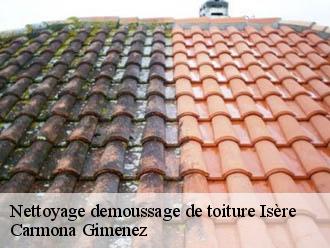Nettoyage demoussage de toiture 38 Isère Couvreur Payen