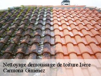 Nettoyage demoussage de toiture 38 Isère  Couvreur Payen