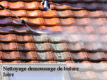 Nettoyage demoussage de toiture