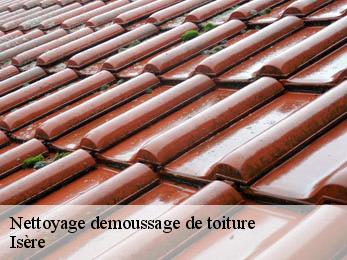 Nettoyage demoussage de toiture Isère