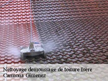 Nettoyage demoussage de toiture Isère