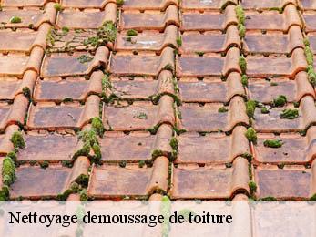 Nettoyage demoussage de toiture Isère 