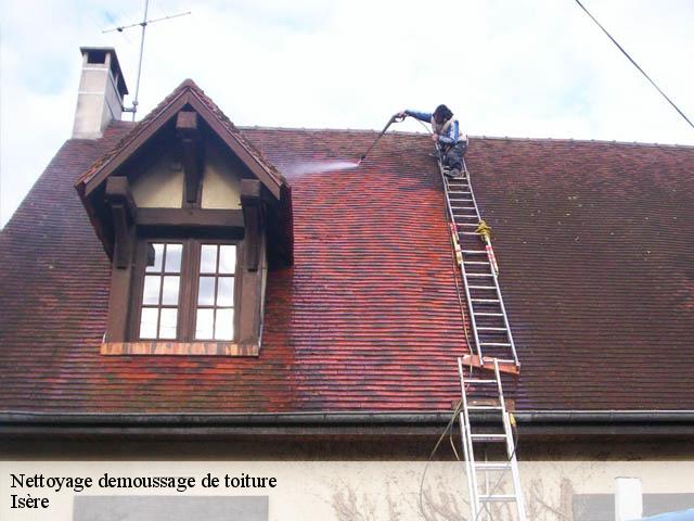 Nettoyage demoussage de toiture Isère 