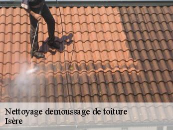 Nettoyage demoussage de toiture Isère 