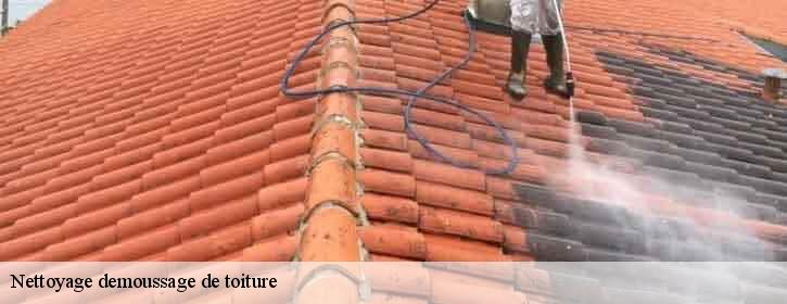 Nettoyage demoussage de toiture Isère