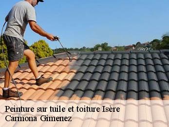 Peinture sur tuile et toiture Isère