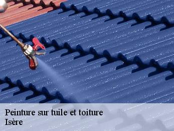 Peinture sur tuile et toiture Isère