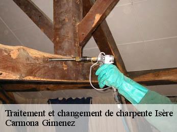 Traitement et changement de charpente Isère