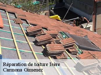 Réparation de toiture Isère