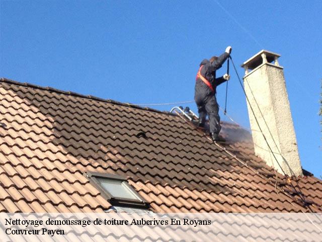 Nettoyage demoussage de toiture  auberives-en-royans-38680 Couvreur Payen