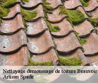 Nettoyage demoussage de toiture beauvoir-de-marc-38440 Artisan Spade