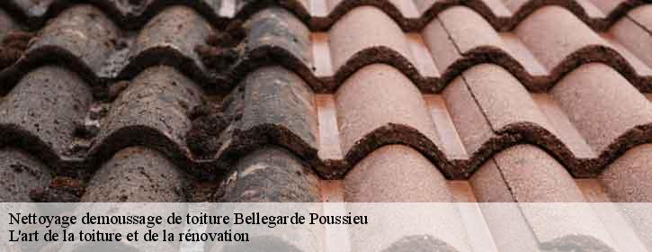 Nettoyage demoussage de toiture  38270