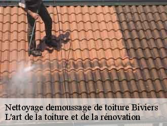 Nettoyage demoussage de toiture  biviers-38330 L'art de la toiture et de la rénovation