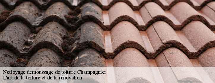 Nettoyage demoussage de toiture  38800