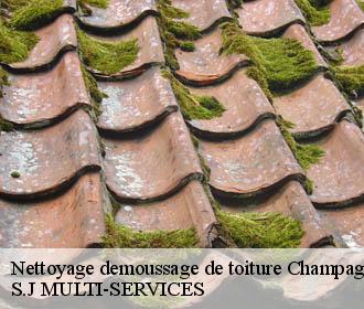 Nettoyage demoussage de toiture  champagnier-38800 S.J MULTI-SERVICES