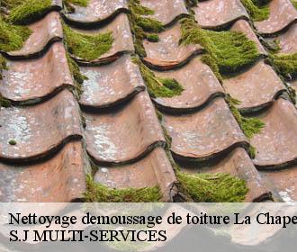 Nettoyage demoussage de toiture la-chapelle-de-la-tour-38110 Artisan Spade