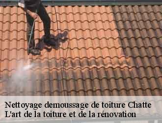 Nettoyage demoussage de toiture  chatte-38160 L'art de la toiture et de la rénovation