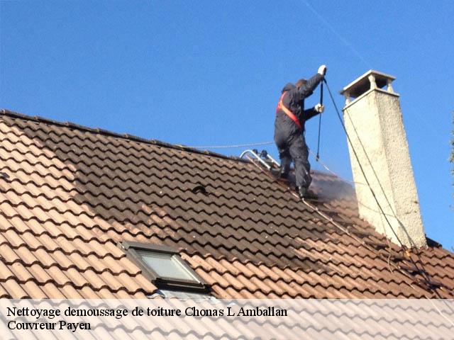 Nettoyage demoussage de toiture  chonas-l-amballan-38121 Couvreur Payen