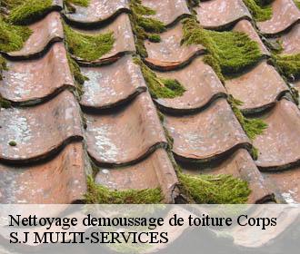 Nettoyage demoussage de toiture corps-38970 S.J MULTI-SERVICES