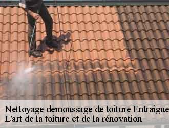 Nettoyage demoussage de toiture entraigues-38740 L'art de la toiture et de la rénovation