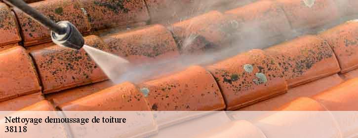 Nettoyage demoussage de toiture 38118