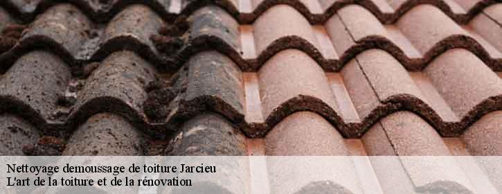 Nettoyage demoussage de toiture  38270