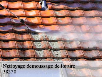 Nettoyage demoussage de toiture