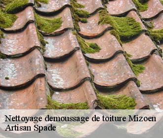 Nettoyage demoussage de toiture  mizoen-38142 Artisan Spade