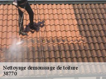 Nettoyage demoussage de toiture  38770