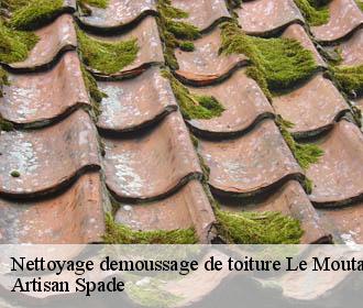 Nettoyage demoussage de toiture le-moutaret-38580 Artisan Spade