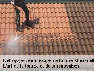 Nettoyage demoussage de toiture murianette-38420 L'art de la toiture et de la rénovation