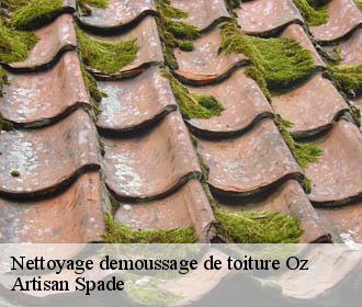 Nettoyage demoussage de toiture oz-38114 Artisan Spade