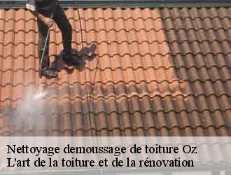 Nettoyage demoussage de toiture  oz-38114 L'art de la toiture et de la rénovation