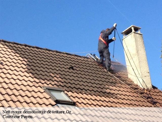 Nettoyage demoussage de toiture  oz-38114 Couvreur Payen