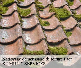 Nettoyage demoussage de toiture pact-38270 S.J MULTI-SERVICES