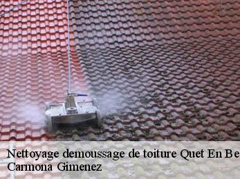 Nettoyage demoussage de toiture 38970