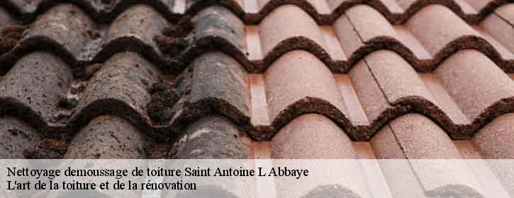 Nettoyage demoussage de toiture  38160