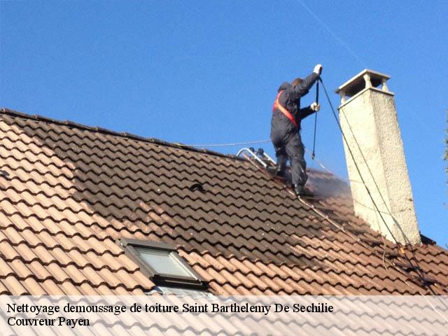 Nettoyage demoussage de toiture  saint-barthelemy-de-sechilie-38220 Couvreur Payen