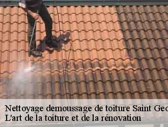 Nettoyage demoussage de toiture  saint-georges-d-esperanche-38790 L'art de la toiture et de la rénovation