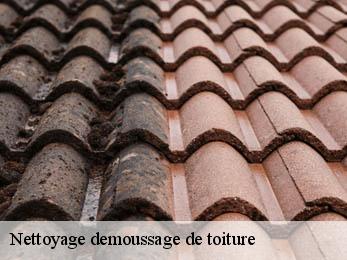 Nettoyage demoussage de toiture