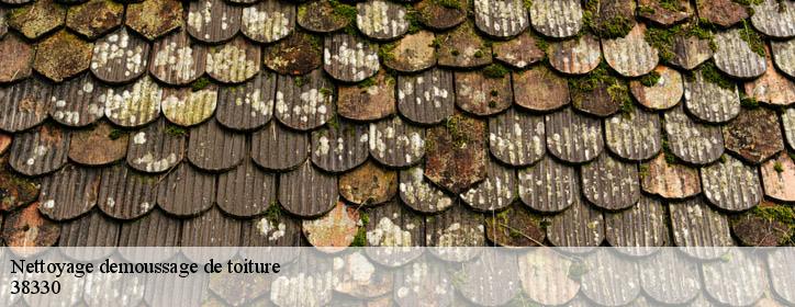Nettoyage demoussage de toiture 38330