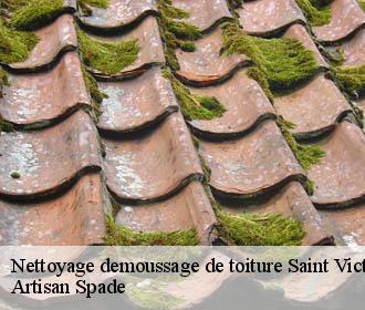 Nettoyage demoussage de toiture saint-victor-de-morestel-38510 Artisan Spade