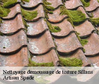 Nettoyage demoussage de toiture sillans-38590 Artisan Spade