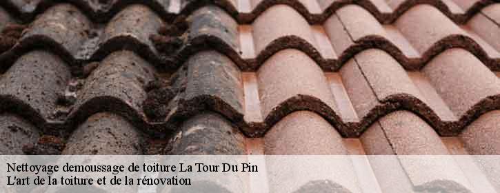 Nettoyage demoussage de toiture  38110