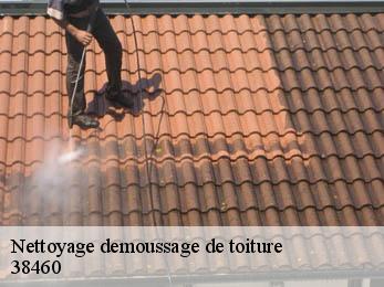 Nettoyage demoussage de toiture 38460