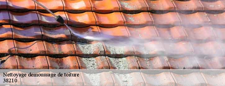Nettoyage demoussage de toiture  38210