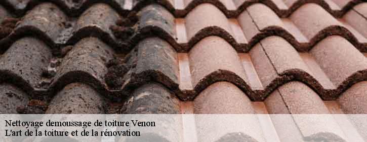 Nettoyage demoussage de toiture  38610