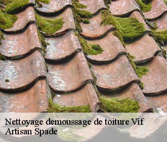 Nettoyage demoussage de toiture vif-38450 Artisan Spade