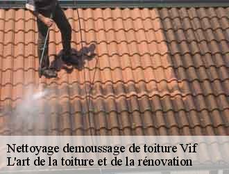 Nettoyage demoussage de toiture vif-38450 L'art de la toiture et de la rénovation